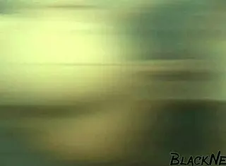 Ebony college graduate sucking that big black cock so sloppy and rough.