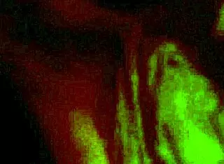 video from march 16 2017 at 11 34 pm