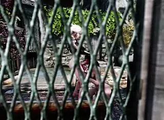 futa on female chaconne and aya in public setting