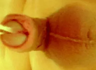 Have you seen this Japanese gay pissing action?