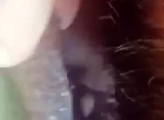 Amateur Nymphomaniac Sucks Monster Cock Then Gets Wet Pussy Creampied