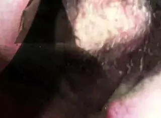 Nicole Aniston Creampie Scene