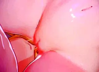 Hentai Anime Creampie with Big Ass and Tits