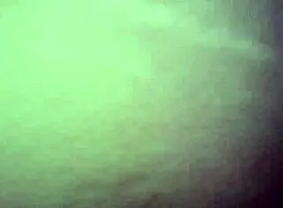 Talia, suck that pussy!