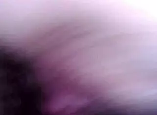 Talia, suck that pussy!