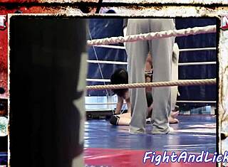 europejskie laski liżą ogolone cipki na ringu bokserskim