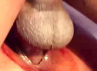 I watches the bestest blowjob compilation of Sumona and Rubel sex