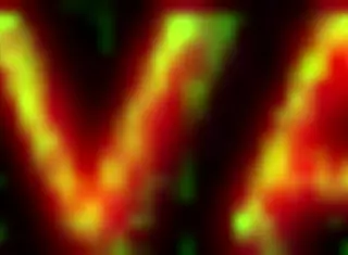 bruna silva's hotwife first bull encounter with banging and creampie