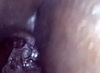 King Jordan's Solo Exploration