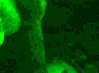 The petite 18+ amateur wife gives an interracial blowjob ending in a facial.