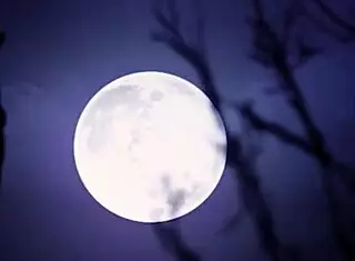 the big pumpkin cassandra lujan