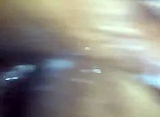 King Jordan's Solo Exploration