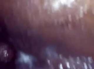 King Jordan's Solo Exploration