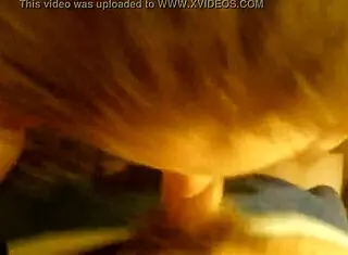 my horney wife is suckin my dick so good