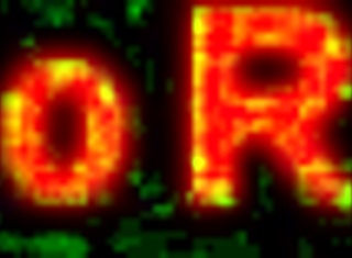 Vastgebonden BDSM hoer wordt hard gegeseld door meester. Gagging en choking in totale onderdanigheid.