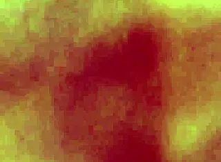 another fuck with japanese cougar from tinder in sp