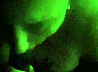 Oral-Stimulation For Reality Porn Contest