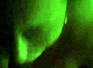 Oral-Stimulation For Reality Porn Contest