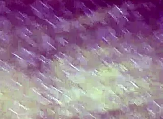 Never Leave Stepdaughter Alone with Stepfather