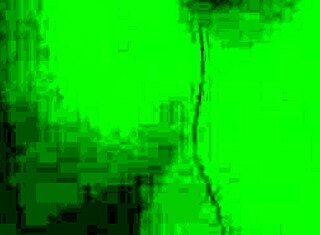 Munnsex for reality porn konkurranse