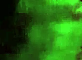 Oral-Stimulation For Reality Porn Contest