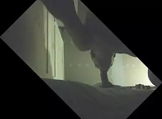 putita cachonda plays with my big cock 😈