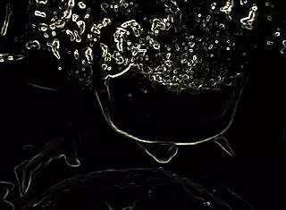 bbw taking a big black dick