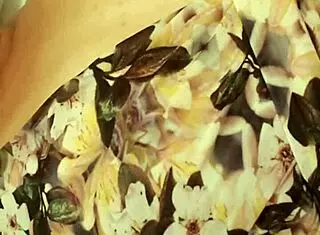 i moan so good during this