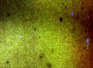 femout xxx debuting ashly baker in intriguing series