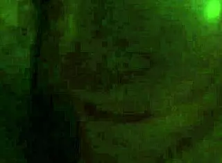 i jerk off my monster cock daily, wagner from itu