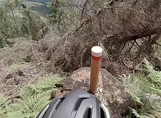 Liz and Ted bike then have outdoor sex.