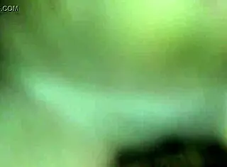 Amateur Blowjob Pickup Fuck