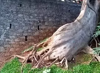 brunette milf gives myke brazil a wild oral massage in motel 😈