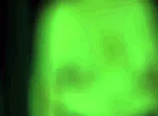 I tried on pasties from shein, they look cute on my chubby body