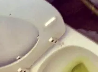 Pissing In Underwear And Pouring Blue Soap On Dick!