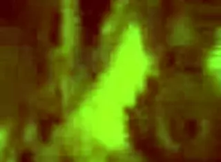 Me Follan A Cuatro Mi Postura Favorita!