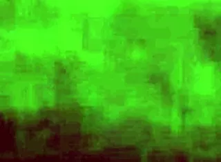 Macho toma leite de café da manhã na cama com anal rude