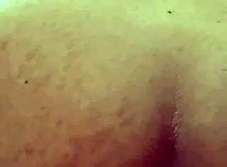 busty asian babe gets creampied in bangkok street massage without condom