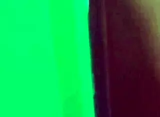 Vacation Adventures with Coworker Companion