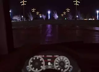 My Pleasure in 3D Cartoon