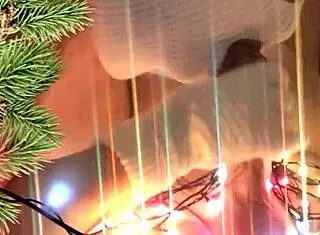 my neighbor gave me a christmas present with her hands and mouth, and i creampied her