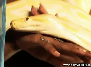 bolly babe is pretty, but her striptease surprises