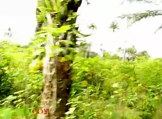 Intense fucking with big black cock in the bush