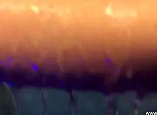 A Relaxing Cock And Body Massage With Sensual Licking And Anal