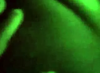 Iceberggslim hints at monster cock pleasure