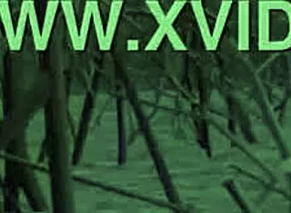 White Queen Meets Snow Elf In Fantasy World