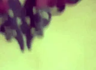 Watch Justin and Niki in taboo webcam interracial milf scene