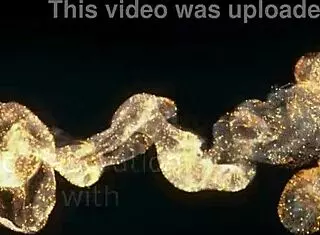 Cute Babe Karry Loves Hard Anal!