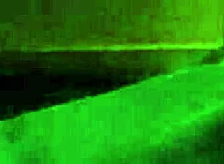 My neighbor fingered my pussy at night, making me orgasm.