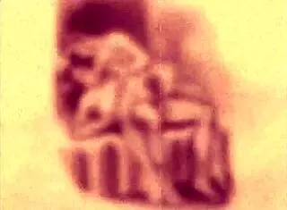 i love vintage erotic illustrations from hentai anime